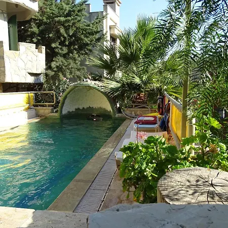 Natural Homestay *
